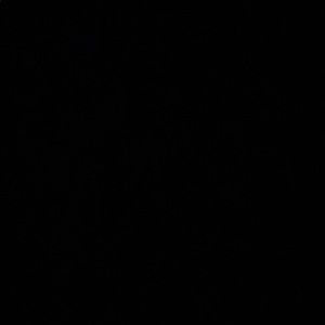 Meet your Posher, Mnelisi